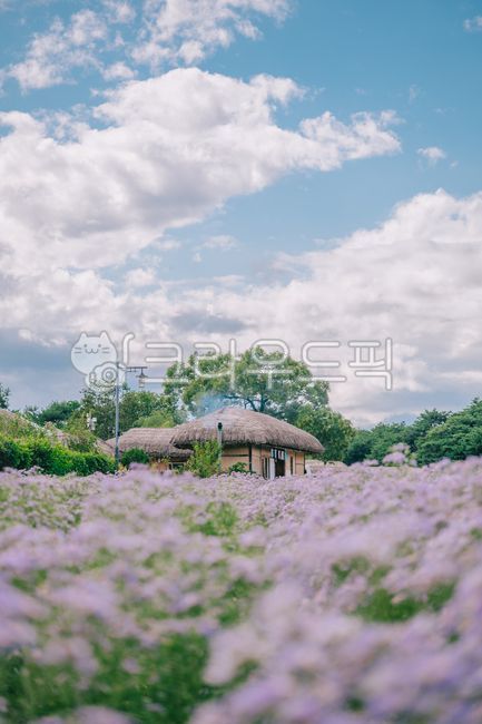 Andong Hahoe Village,Andong,Hahoe Village,Korean tradition,Korean culture,scenery,landscape,countryside,nature,Korean traditional,folk village,tradition,Korean culture,world cultural heritage,Korea,thatched house