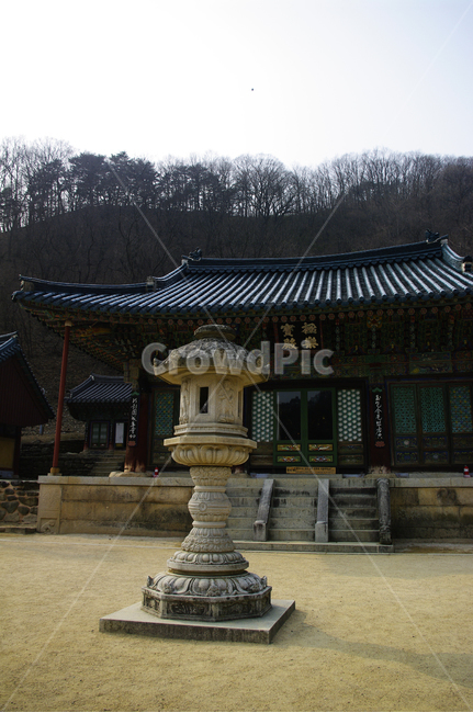 신흥사,사찰,절,전통,건축,기와,지붕,석탑,건축물,temple,architecture,building
