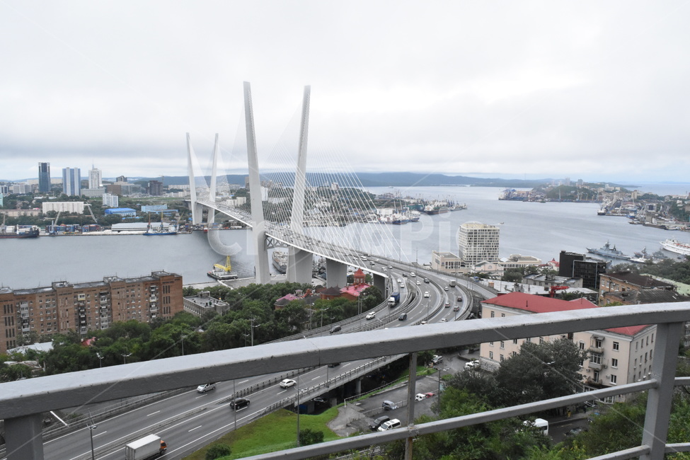 블라디보스톡,러시아,금각교,다리,바다,독수리전망대,도시,Vladivostok,bridge,Russia,sea,view,도시,풍경,city,landscape,해외,외국,세계,foreign,oversea,world,세계도시풍경,해외도시풍경,외국도시풍경,world cityscape,road,도로,freeway,고속 도로