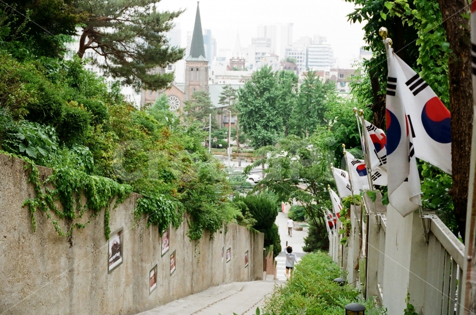 31만세길,31만세운동길,90계단,대구근대골목투어,대구근대투어,도시,풍경,city,landscape,outdoors,옥외