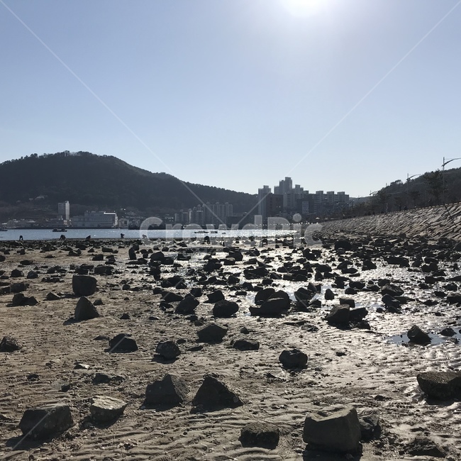갯벌,돌멩이,썰물,갯벌체험,밀물,해변