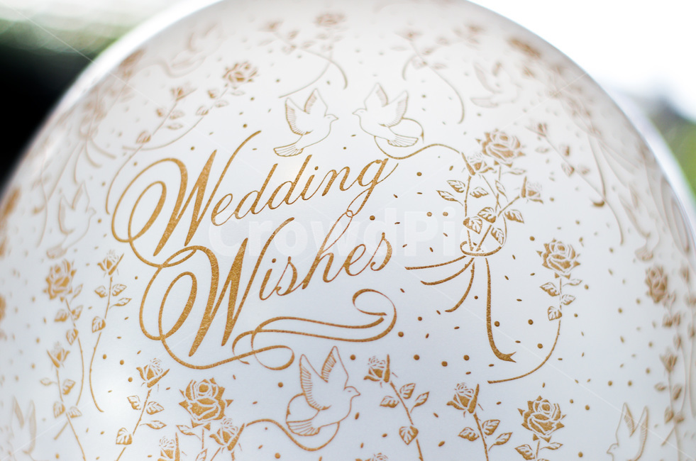 웨딩,웨딩풍선,흰색풍선,결혼식,weddingwhshes,골드,gold,흰색,웨딩장식,파티,결혼,웨딩마치,사랑,로맨틱,커플,로맨스,하트,wedding,white,whiteballoon,celebration,party,love,romantic,romance,heart,ceremony,decoration,weddingdecoration,결혼,혼례,웨딩,wedding,marriage,marry