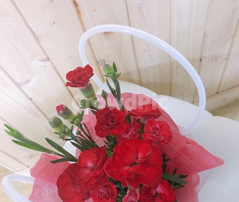 어버이날,카네이션,부모님,선물,어버이날선물