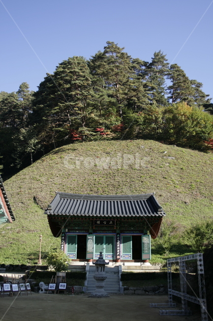사찰,절,한국,전각,나무,풍경,한국전통,한국문화,korean traditional,korean culture,건축물,건물외관,exterior,building,structure,architecture,construction
