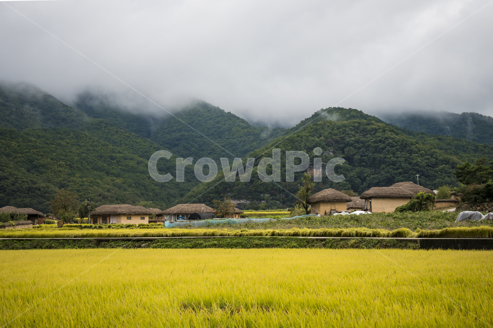 산,논,밭,시골,풍경,시골,마을,풍경,landscape,country,rural,town