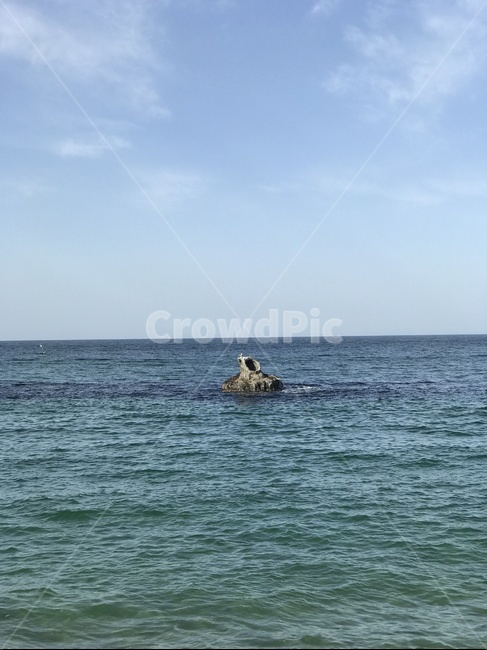 바위,nature,자연,ocean,대양,outdoors,옥외,sea,바다,water,물