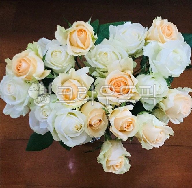 plant,식물,꽃꽂이,blossom,꽃,flower,flowerbouquet,꽃부케,장미꽃,장미,rose