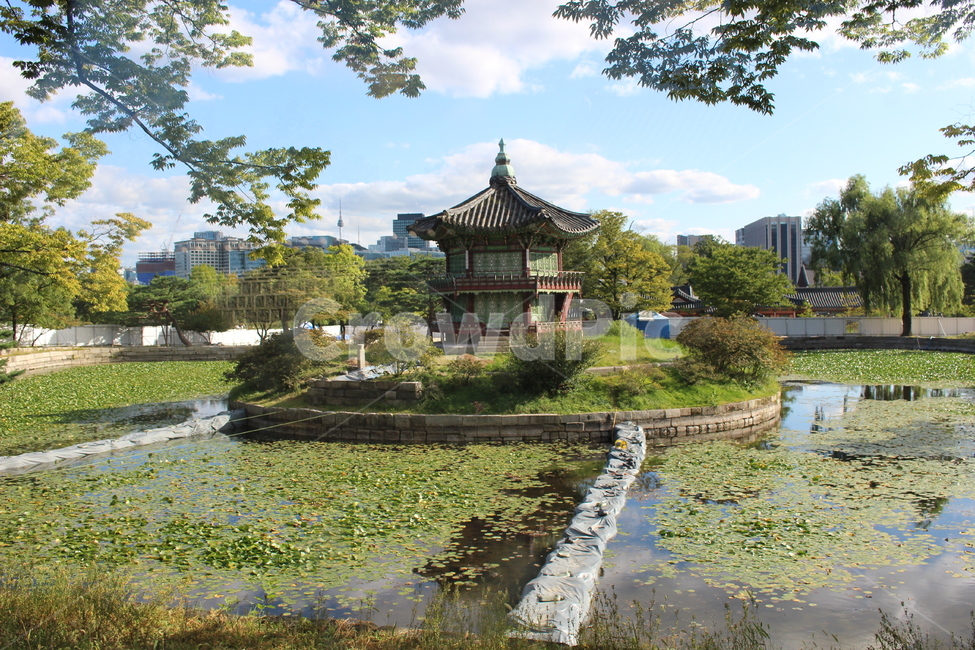 경복궁,연못,한국전통,건축물,연못풍경