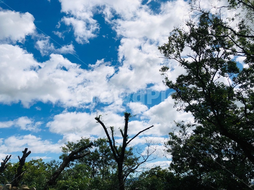 nature,자연,하늘,구름,sky,cloud,자연,풍경,nature,landscape,outdoors,옥외