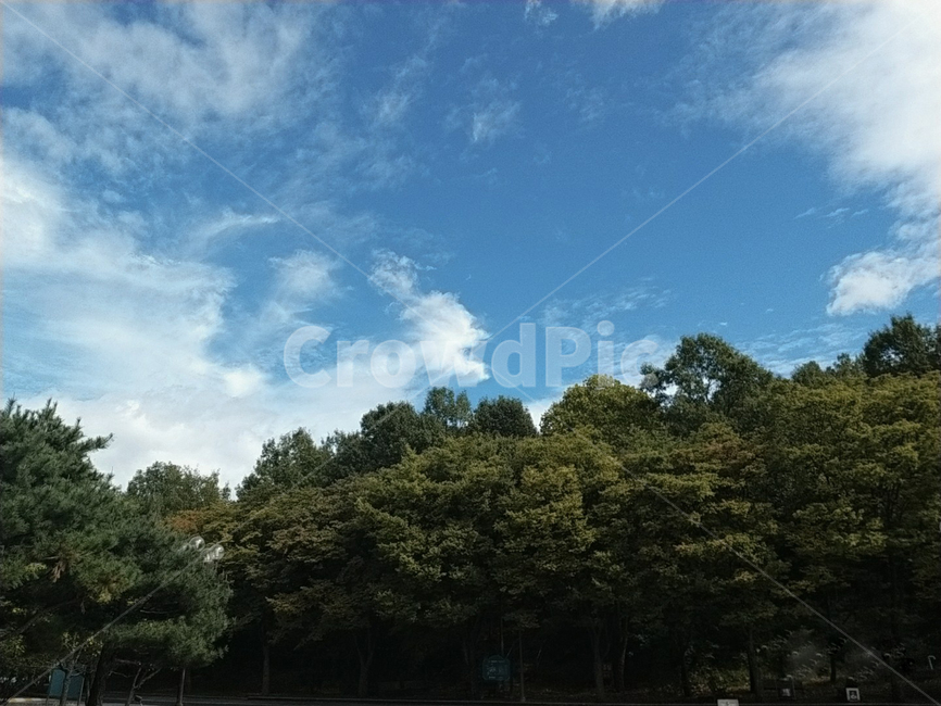 outdoors,옥외,nature,weather,날씨,나무,tree,하늘,sky,구름,여름,파란색,파랑,초록,야외,자연,자연,풍경,nature,landscape