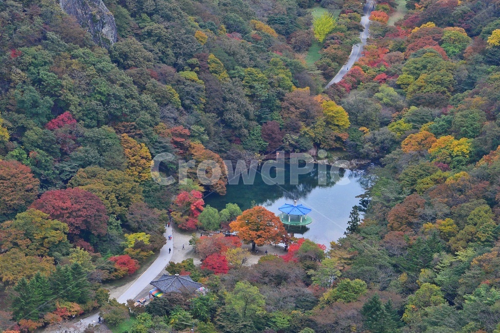 nature,자연,outdoors,옥외,landscape,경치,scenery,풍경,leaf,잎,tree,나무,maple,단풍,정읍,내장사,우화정,내장사추색,내장사가을,연못,물,우화정추색,가을,계절,fall,autumn,season,자연,풍경,nature,landscape