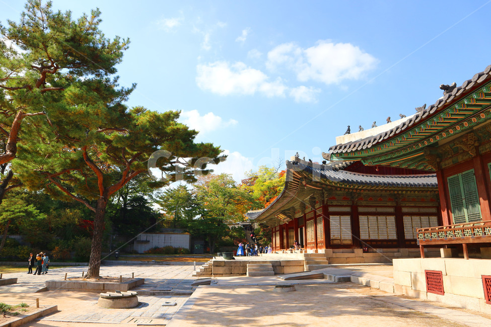 창경궁,궁,조선시대,관광,changgyeonggung,palace,tourism,seoul,korea,양화당,하늘