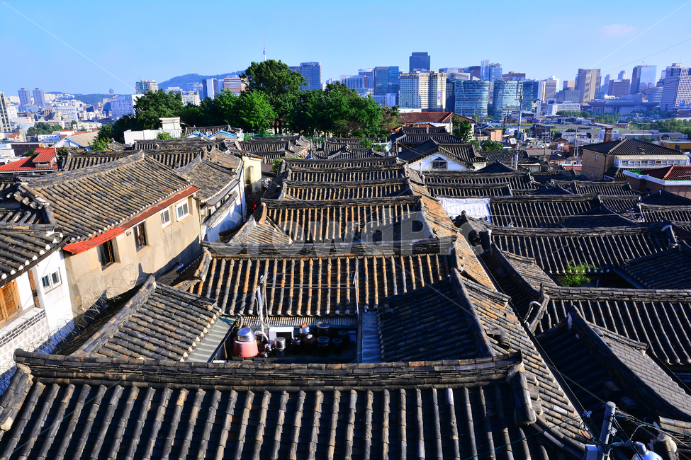 한옥,전통,북촌,기와집,한옥마을,서울,명소,관광지,투어,민속,보존,하우스,history,house,seoul,culture,traditional,korea,한국,가볼만한곳,역사,한국의미,아름다움,건축,장인,집,주거지,old,오래된,골목,빈티지,패턴,pattern,대비,도시,풍경,city,landscape,한국도시풍경,한국도시경관,korea cityscape,한국전통,한국문화,korean traditional,korean culture,roof,지붕,tile roof,기와 지붕
