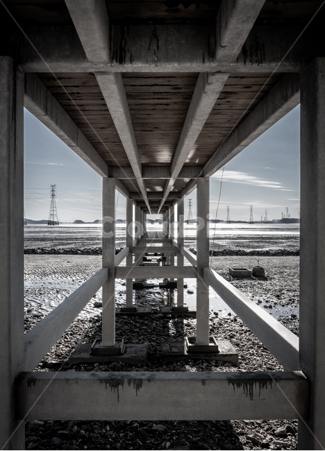 다리,중심,바다,자연,하늘,나무,빈티지,ocean,bridge,center,nature,sky,건축물,건물외관,exterior,building,structure,architecture,construction