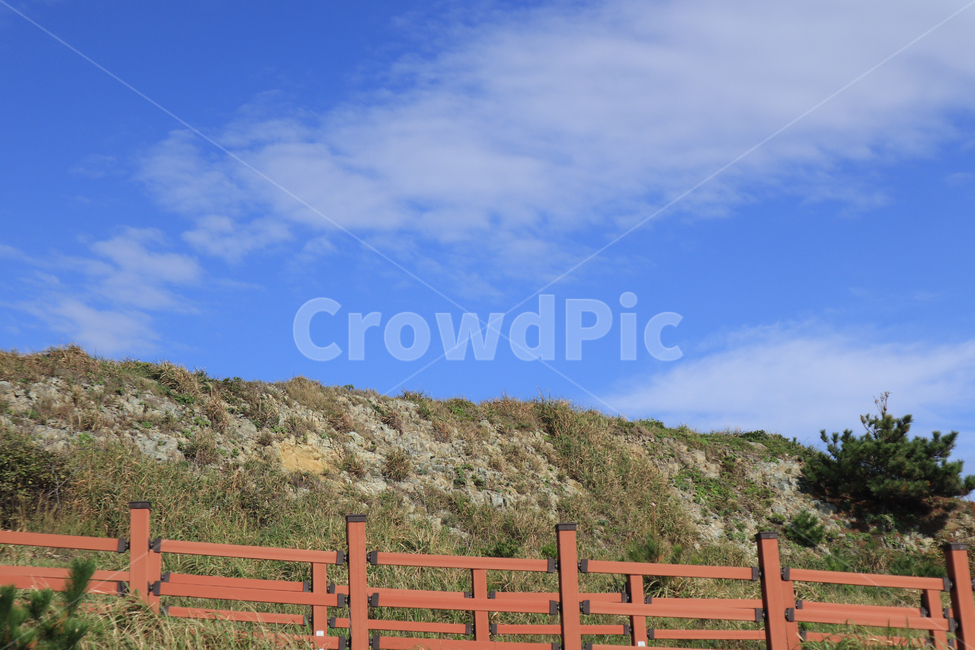 울타리,푸른하늘,나무,자연,sky,blue,cloud,맑은,하늘,날씨,초록,파란,구름,nature,절벽,field,들