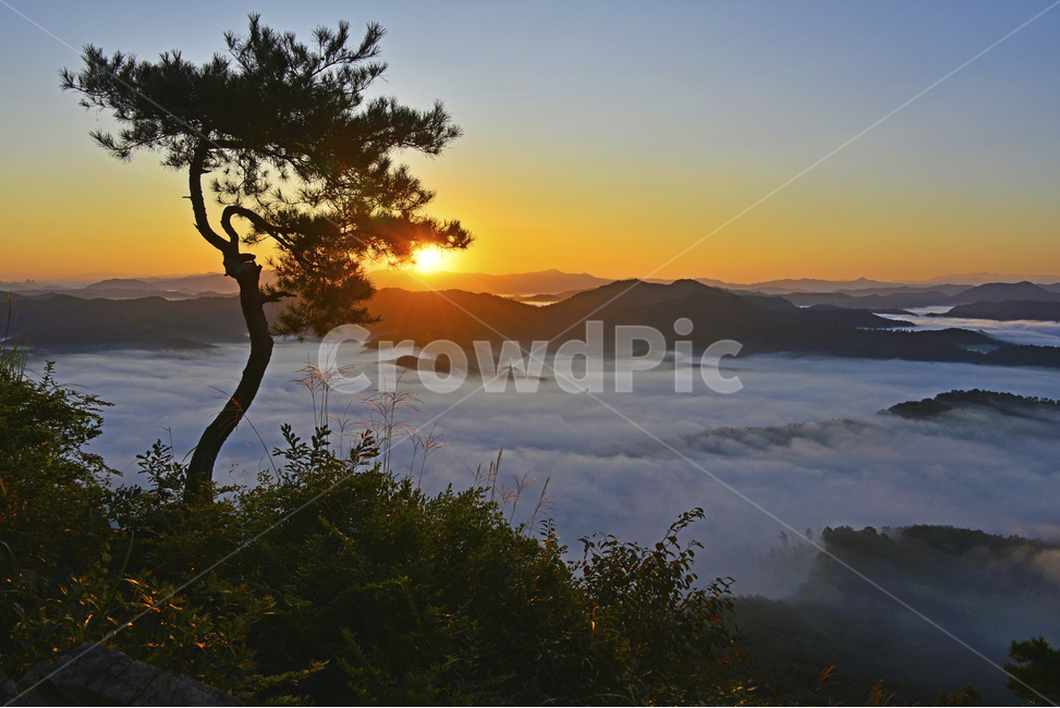 전북,임실,국사봉,국사봉아침,국사봉일출,국사봉운해,운해,일출,해돋이,소나무,nature,자연,outdoors,옥외,경치,경관,풍경,자연,풍경,nature,landscape