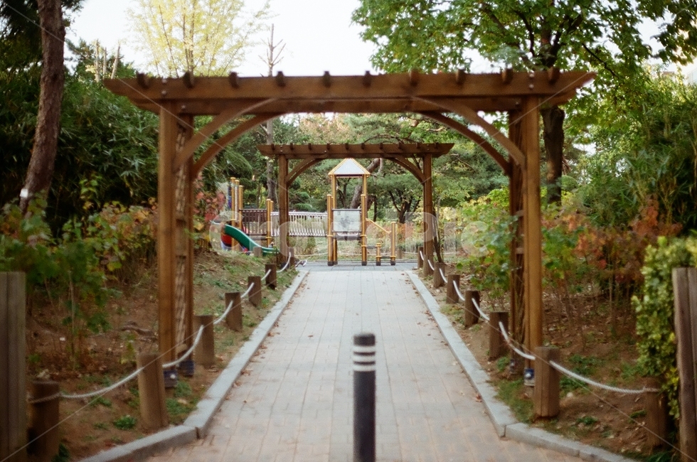 outdoors,garden,정원,놀이터,가을
