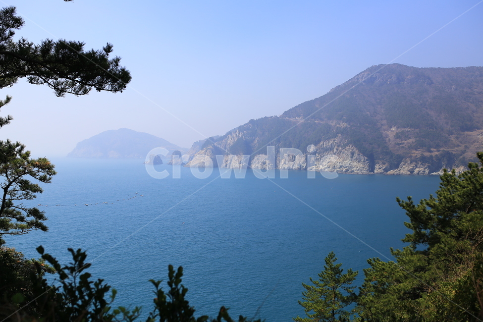 nature,섬,바다,나무,plant,자연,감성