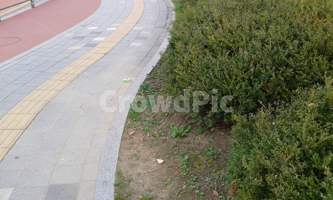 길,road,아스팔트,asphalt,path