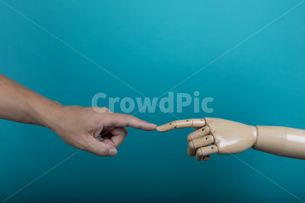 손,잡아,인간,비즈니스,개념,근접촬영,포인팅,마네킹,방향,인공,손가락,팔,관절,손톱,마주치다,hand,hold,human,business,concept,closeup,pointing,mannequin,direction,artificial,finger,arm,joints,nail,사람,인물,인간,human,person,신체일부,몸,body,손,제스처,표시,손짓,표현,gesture,hand,sign,expression,연출,컨셉,콘셉,direction,concept