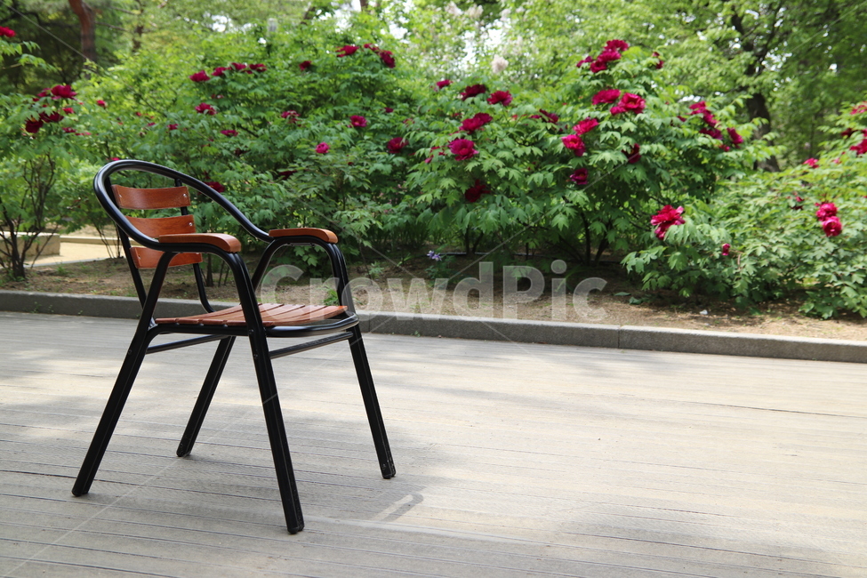 의자,정원,휴식,기다림,chair
