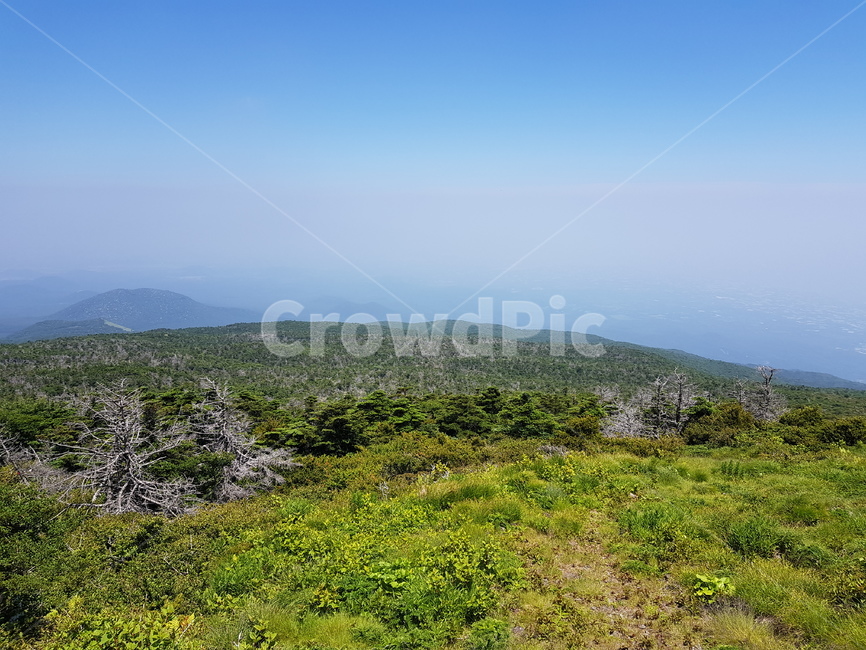 배경화면,자연풍경,경치,한라산,자연배경,등산,나무,산,등산길,제주도,한라산등산,여름,가을,하늘,자연,배경,풍경,멋진경치,nature,언덕,hill,옥외
