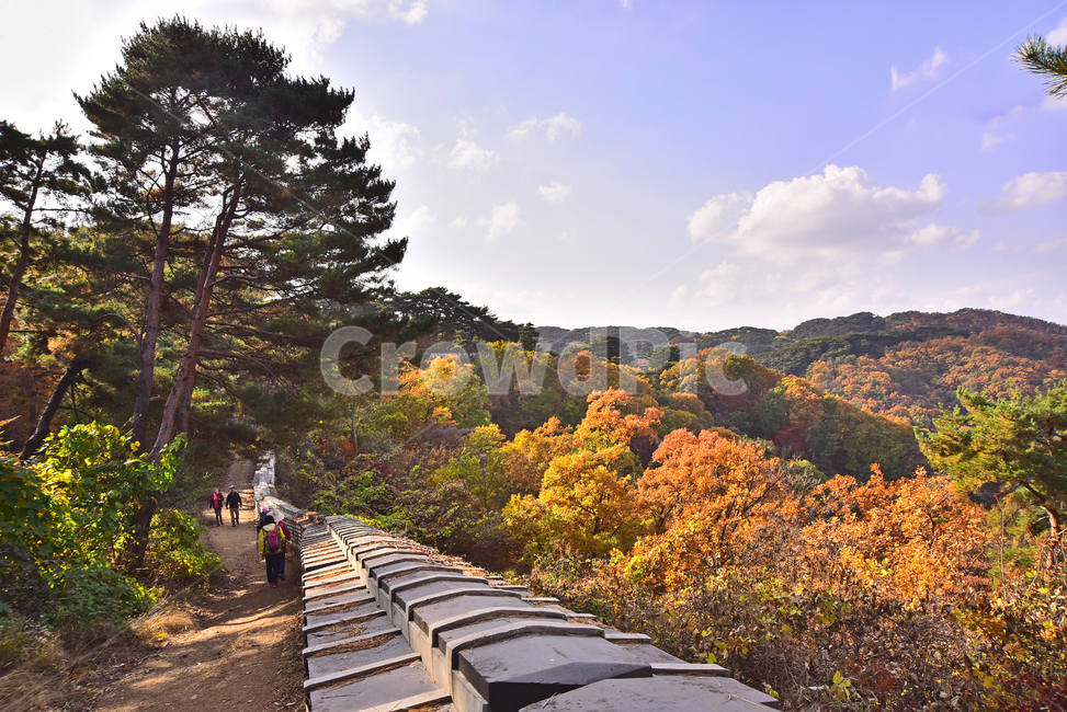 가을,가을풍경,한국자연경관,한국자연풍경,자연,가을배경,fall,autumn,season,가을단풍,nature,outdoors,옥외,산맥,mountain,mountainrange,가을숲,배경,바탕,백그라운드,background,시즌,계절,골짜기,가을분위기,forest,찬란한,형형색색,칼라풀,colorful,산,능선,봉우리,성곽길,둘레길,남한산성,소나무,가을산,사람들,등산객,등산로,가을,계절,fall,autumn,season,자연,풍경,nature,landscape