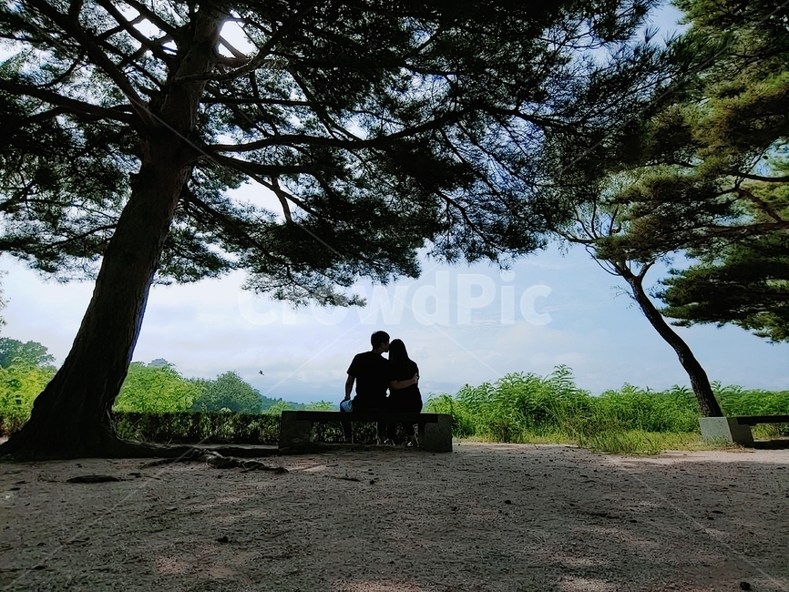 호수,lake,약속,위로,벤츠,bench,나무,tree,자연,식물,nature,plant,햇빛,그늘,여유,휴식,사랑,속삭임,연인,흙길,사람,인물,자연,풍경,nature,landscape,dirt road,gravel,자갈,road,도로,ground,바닥