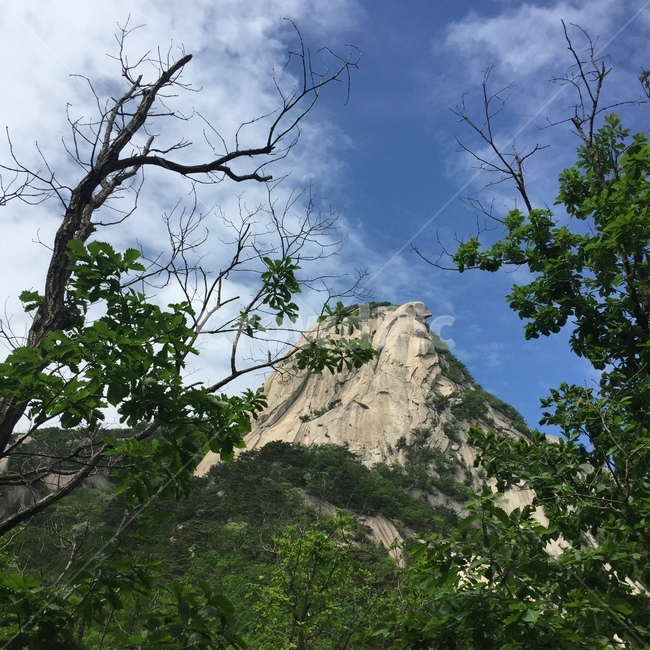 산,등산,풍경,백운대,등반,북한산,하늘,나무,풀,맑음,석산