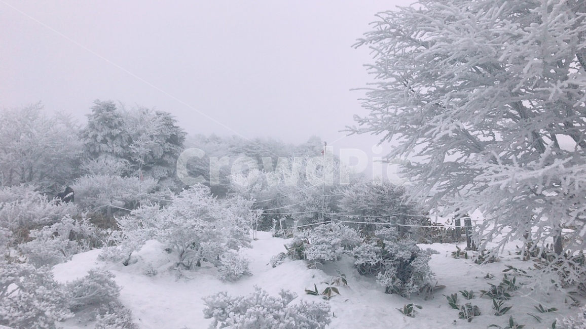 nature,자연,outdoors,snow,눈,blizzard,winter,겨울,산,mountain,hiking,등산,겨울산