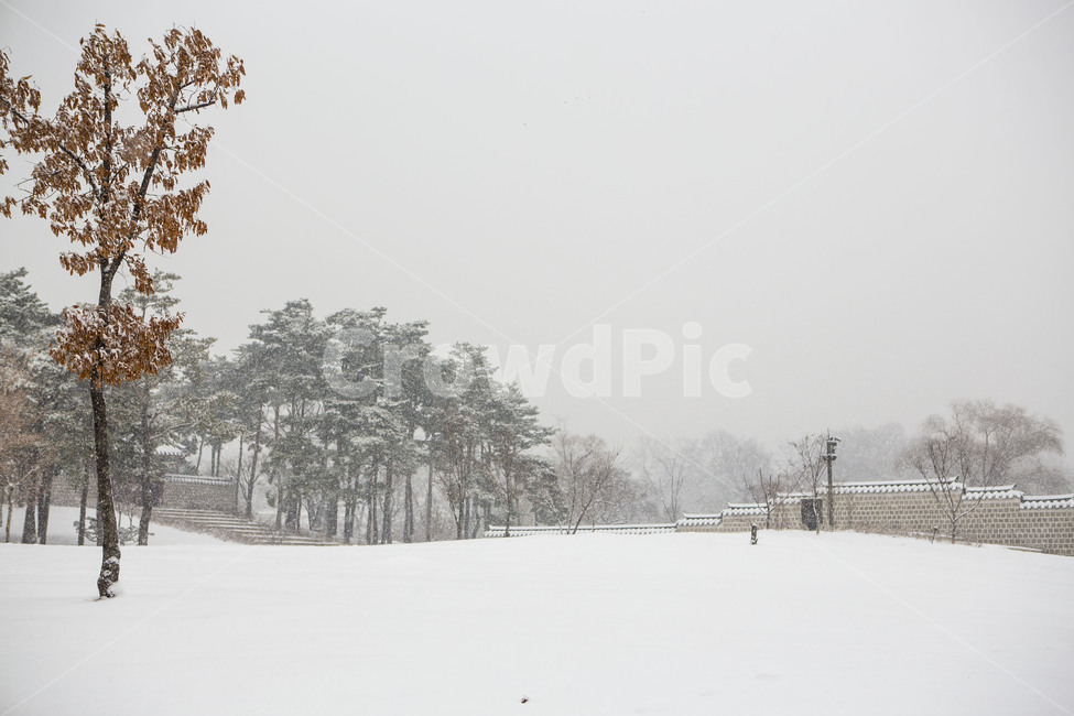 설경,공원,눈보라,고궁,겨울,겨울,계절,winter,season,자연,풍경,nature,landscape,한국자연풍경,한국자연경관,korea nature landscape,storm,폭풍,snow,눈,outdoors,옥외,blizzard
