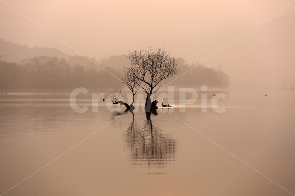 주남저수지,동판지,프로덕션명주,김명주,주남동판지,자연,풍경,nature,landscape