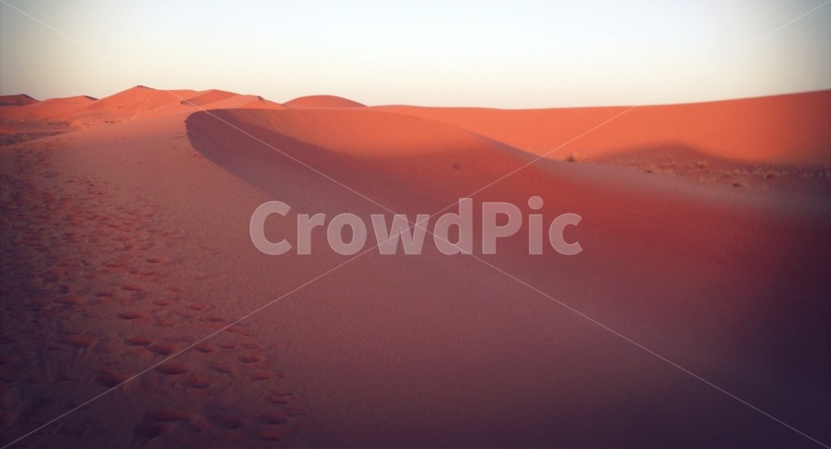 사막,사하라,풍경,여름,모로코,desert,sahara,morocco,summer,자연,풍경,nature,landscape,해외,외국,세계,foreign,oversea,world,세계자연풍경,해외자연풍경,외국자연풍경,world nature landscape,soil,흙,sand,모래,outdoors,옥외