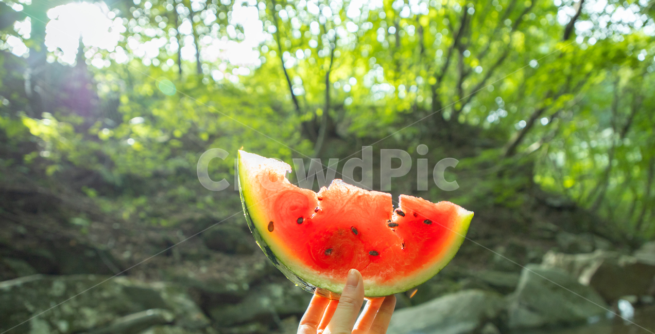 수박,watermelon,여름,summer,시원함