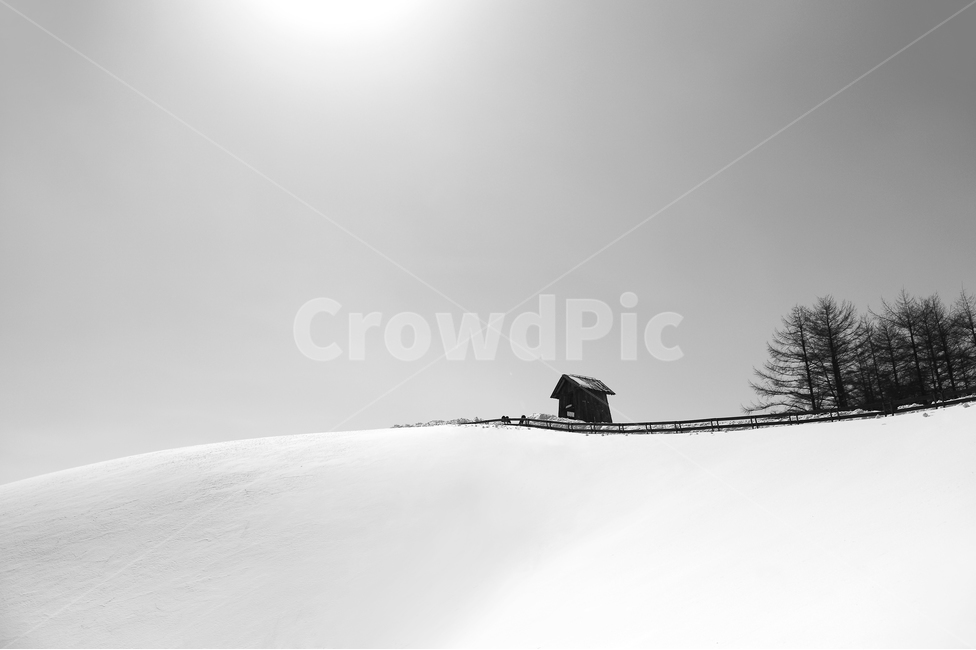 대관령,양떼목장,눈,산,목초창고,겨울,계절,winter,season,자연,풍경,nature,landscape,한국자연풍경,한국자연경관,korea nature landscape,흑백,모노톤,monochrome,black and white,outdoors,옥외