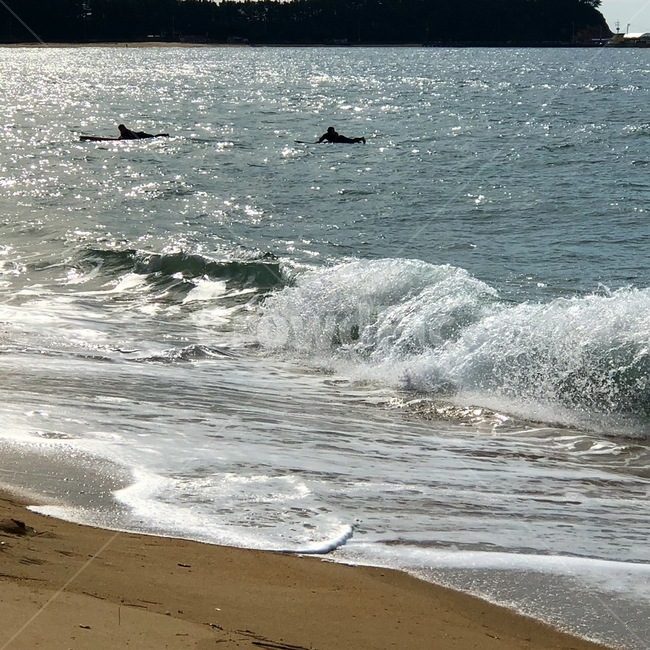 서핑,여가,파도,바다,반짝이는,해변,바다,beach,sea