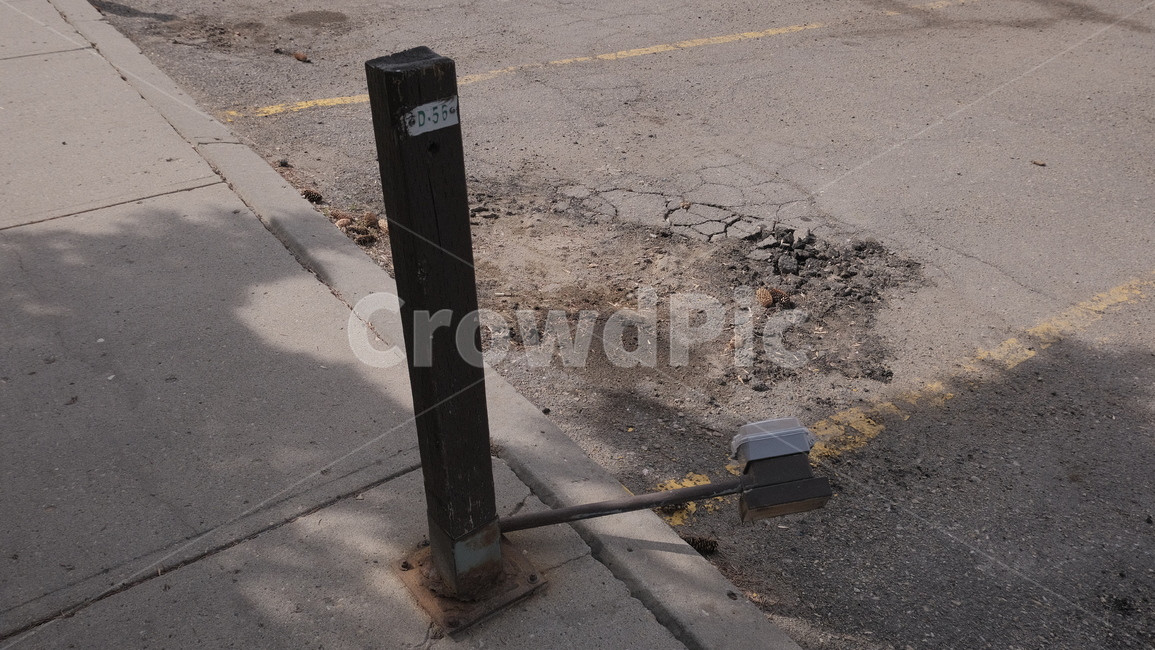 캐나다,나무기둥,주차장,공공기물,파손,canada,tree,parkinglot,사회문제
