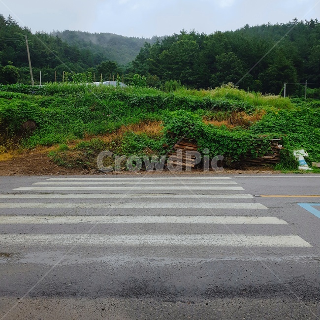 시골,횡단보도,촌,도로,산
