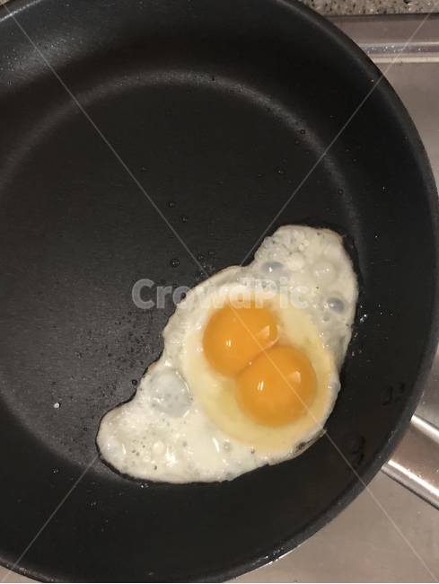 쌍란,달걀,계란,노른자,2개,음식,식재료,요리,food,cook,meal,dishes,food reserves