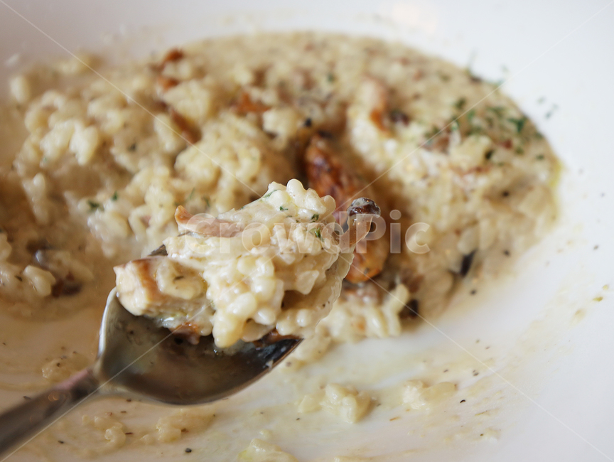리조또,버섯,크림리조또,risotto,음식,meal,dish,식사