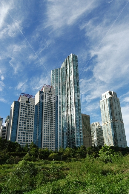 타워팰리스,빌딩,고층빌딩,비지니스,비즈니스,아파트,주상복합,건물,건축,부동산,로우앵글,하늘,배경,도시,도심,주택,강남,강남구,한국,도시,풍경,city,landscape,한국도시풍경,한국도시경관,korea cityscape,office building,사무실 건물,building