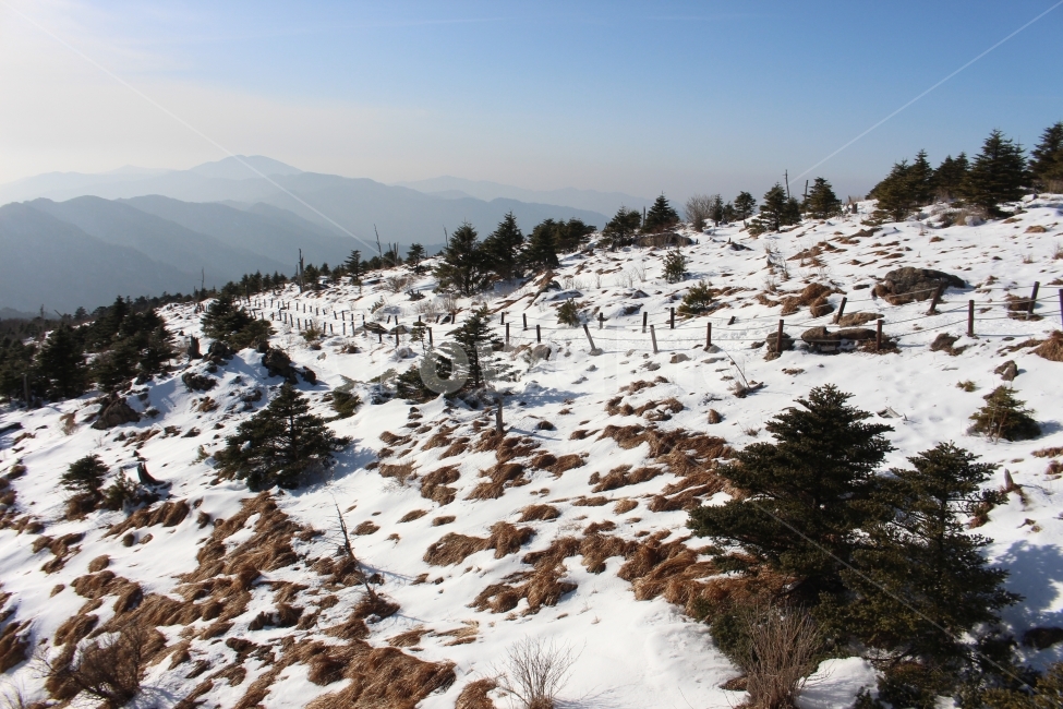 지리산,천왕봉,종주,능선,지리산종주,장터목,눈,산,등산,풍경,자연,설산,겨울,계절,winter,season,자연,풍경,nature,landscape,tree,나무,plant,식물,fir,전나무