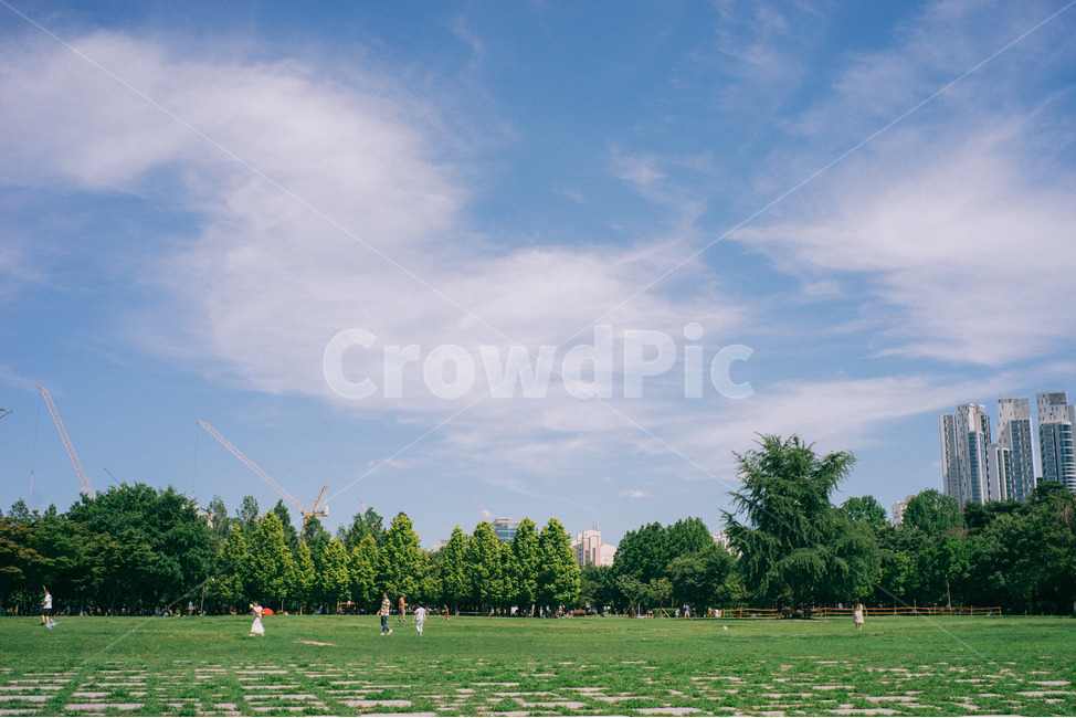 하늘,구름,잔디,운동장,공원,서울숲,도시,풍경,city,landscape,한국도시풍경,한국도시경관,korea cityscape,plant,식물,grass,field,들