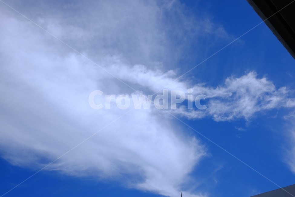 맑은하늘,구름,푸른하늘,파란하늘,흰구름,nature,자연,outdoors,옥외,하늘,sky,azuresky