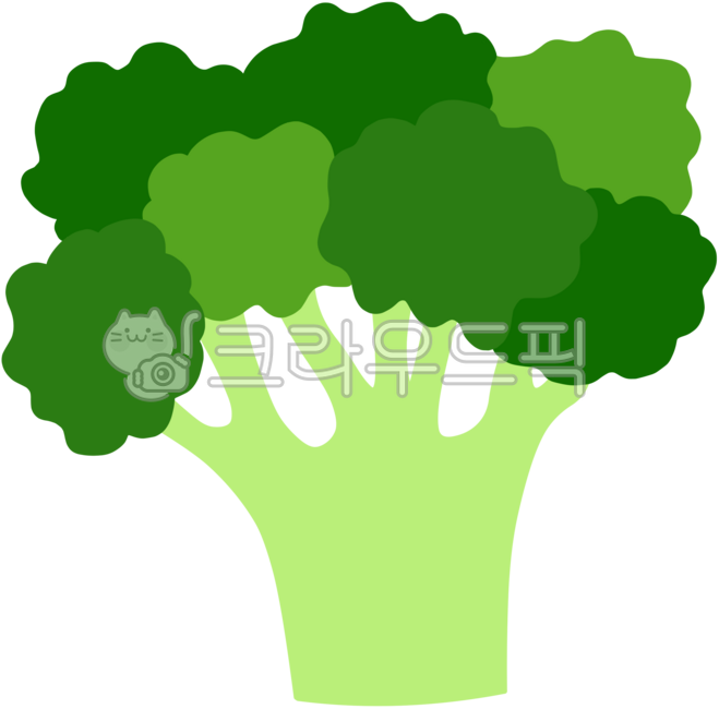 Broccoli,broccoli image,broccoli illustration,broccoli drawing,broccoli vegetable,broccoli illustration,broccoli salad,broccoli hand drawing,broccoli vegetable,broccoli character,salad ingredients,organic broccoli