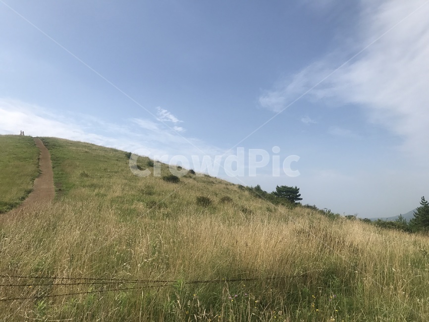 자연,nature,field,목초지,들