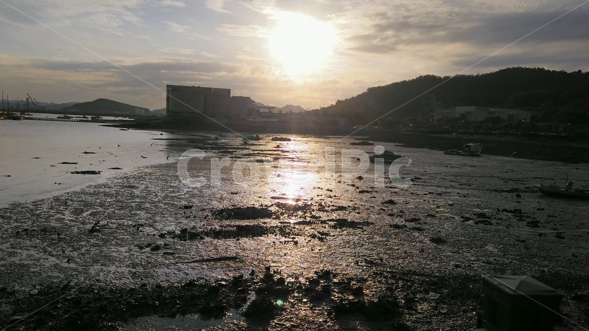바다,힐링,자연,갯벌,해질녘