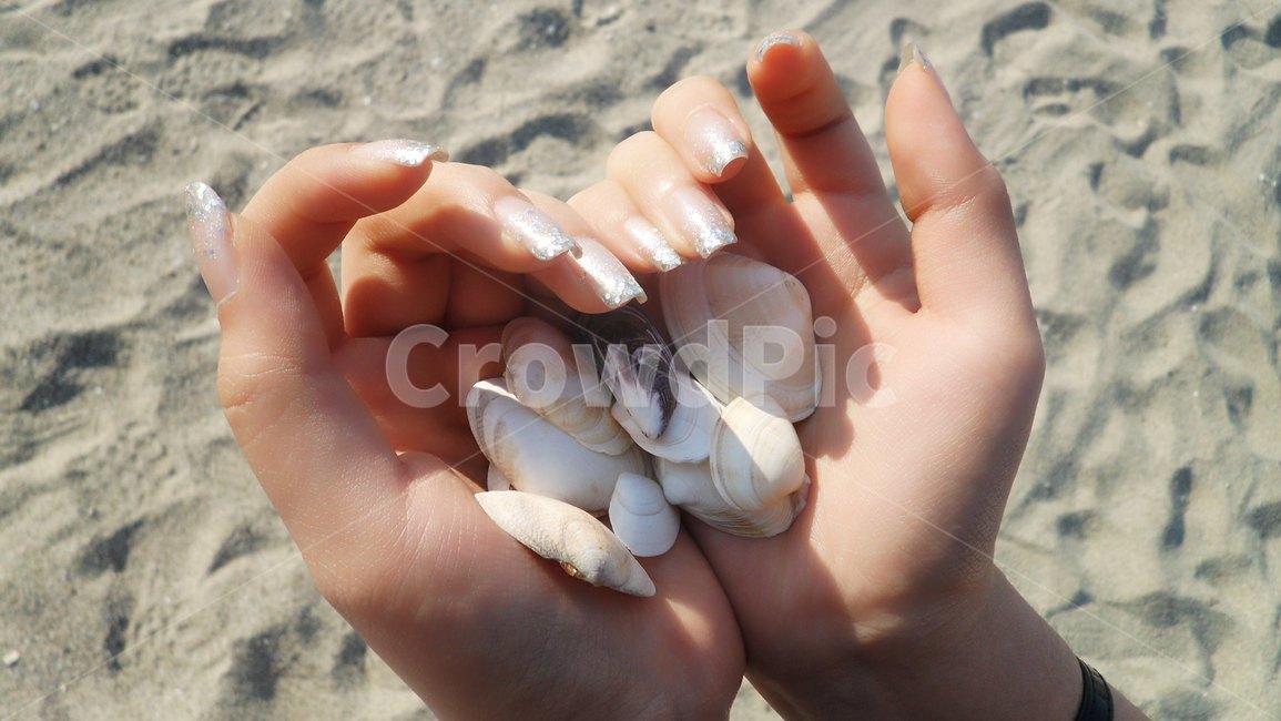 조개,바다,손,shells,hand,손모델,네일아트