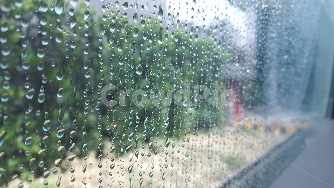 버스,비,물방울,rain,bus,waterdrop,raindrop