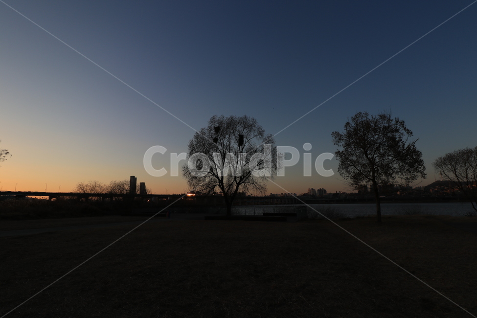 노을,석양,한강,역광,나무,sunset,backlight,hanliver,자연,풍경,nature,landscape,실루엣,그림자,silhouette,shadow,outdoors,옥외